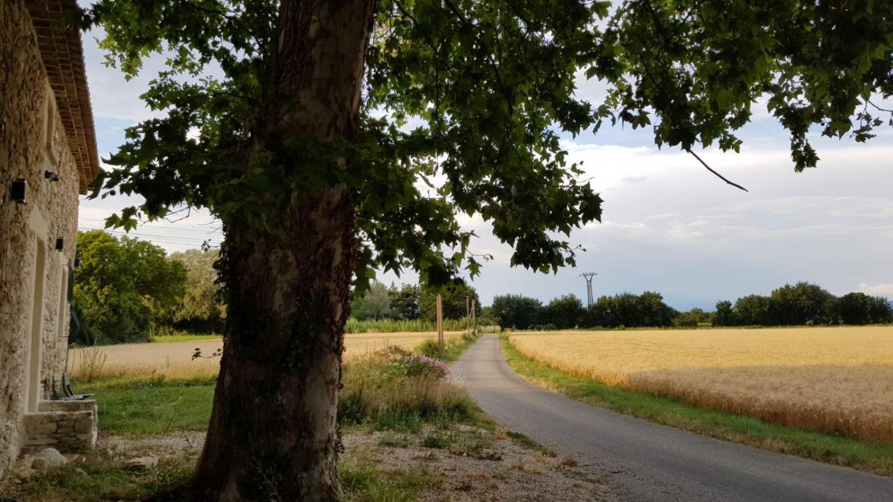 Maison Au Calme En Campagne Climatisee Caderousse المظهر الخارجي الصورة