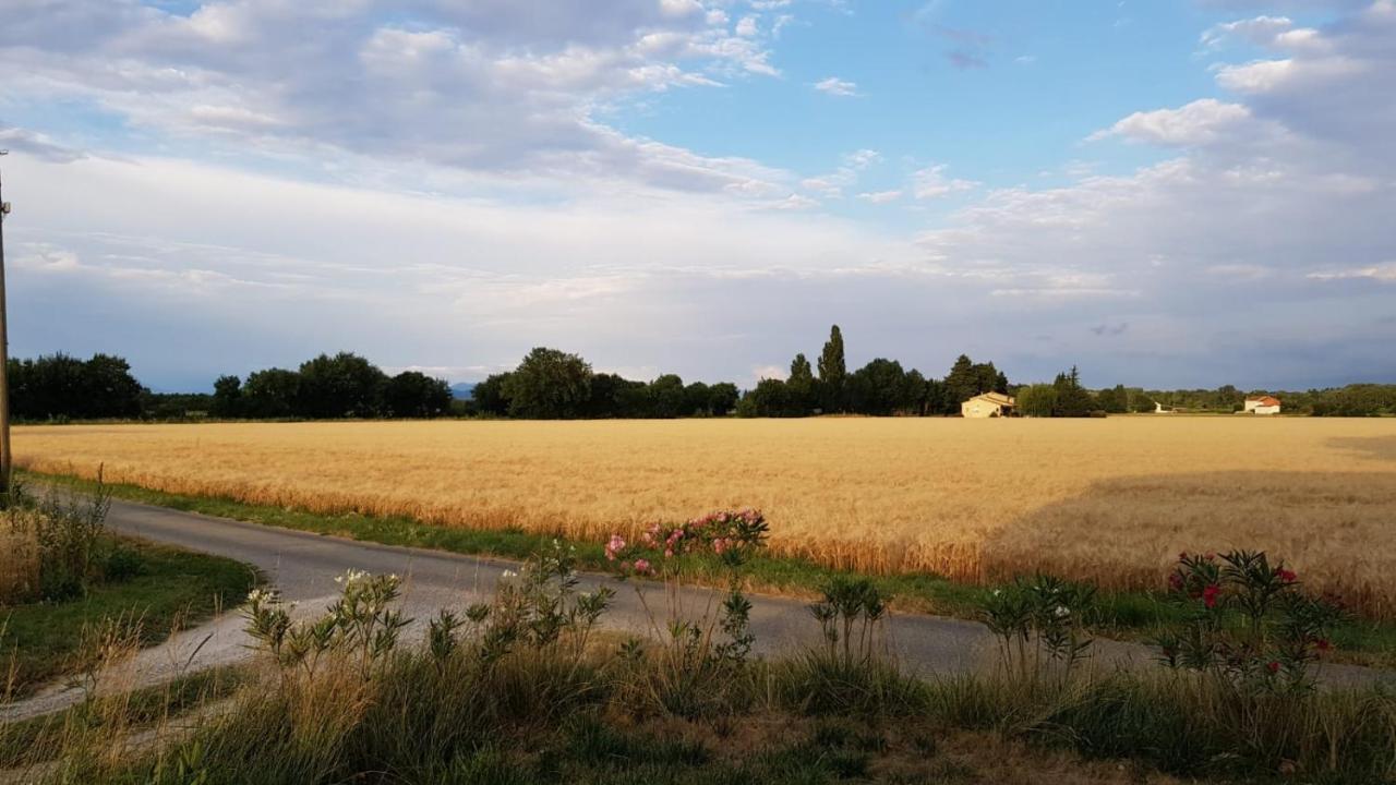 Maison Au Calme En Campagne Climatisee Caderousse المظهر الخارجي الصورة
